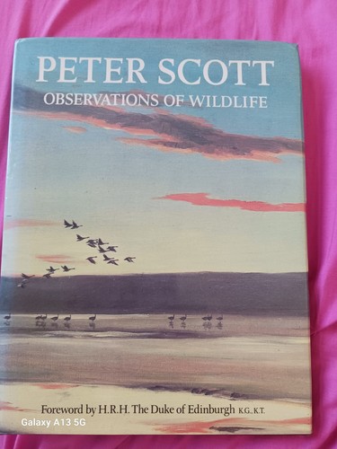 Observations wildlife peter - of,