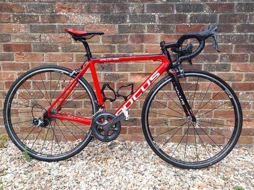 Focus izalco max carbon - max,