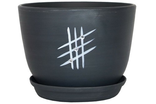 Ceramic plant pots with - plant,
