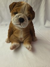 American Pedigree Dogs