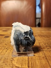 Flint tool large Levallois