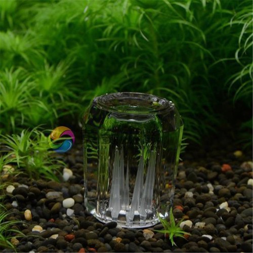 Hole snail trap - 8,
