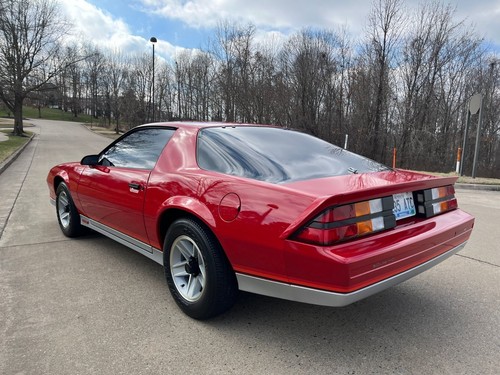 1984 camaro lft rear qtr - rear,