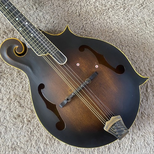 Washburn string warrior - 8,