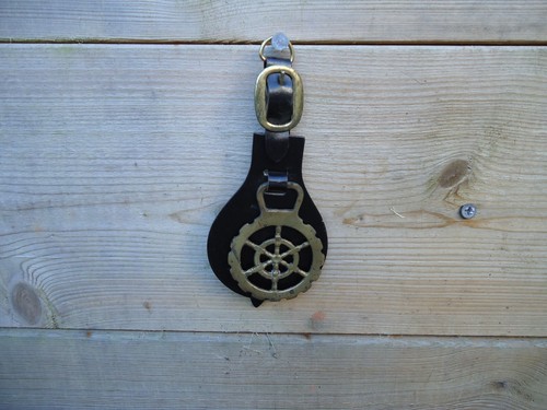 Horse brass belt ships - on,