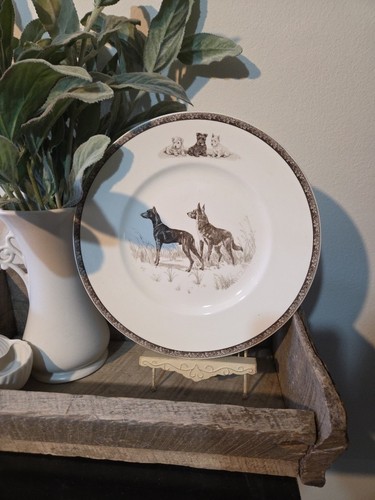 Wedgwood plate marguerite - wedgwood,