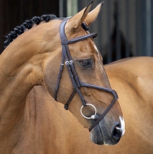 Shires velocity extra full - extra,