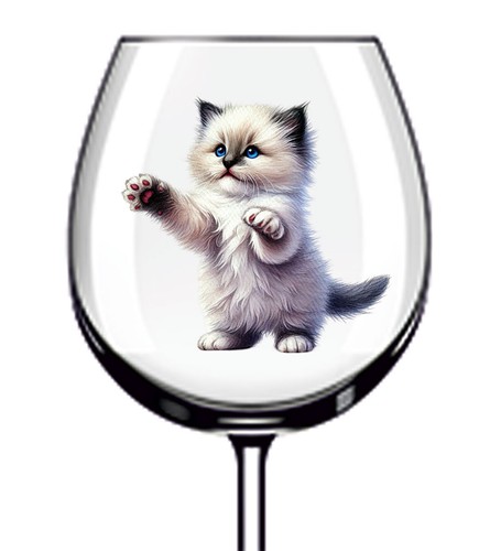 12x ragdoll cat - 12x,