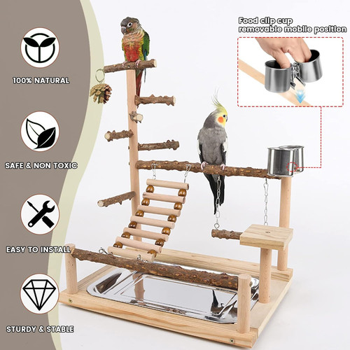 Bird playground parrot - bird,