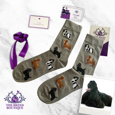 AMERICAN COCKER SPANIEL SOCKS