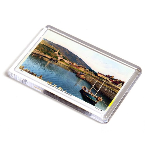Fridge magnet vintage - magnet,