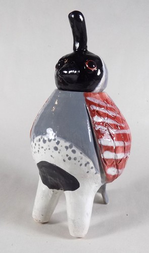 Gambel quail - quail,