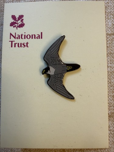 National trust pin badge - trust,