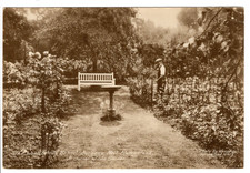 A Post Card of The Woodlands