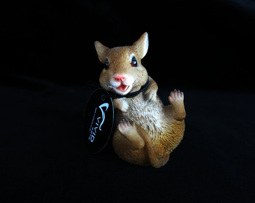 Vivid arts sitting dormouse - arts,