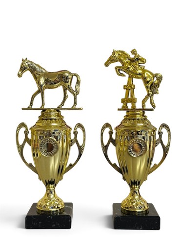 Gold cup equestrian - gold, trophy