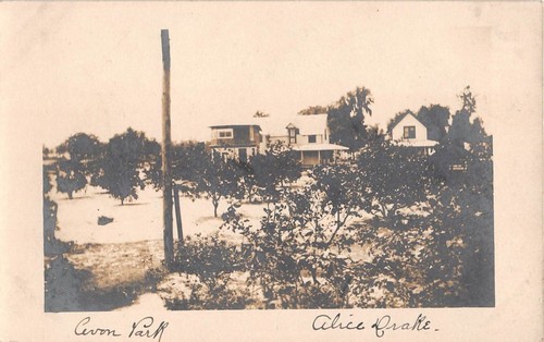 1910 rppc homes - avon, park