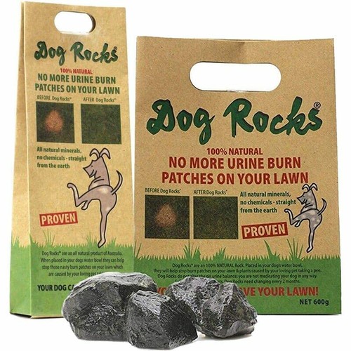 Dog rocks water - feed, bowl