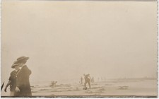 Postcard Beach Clam Diggers