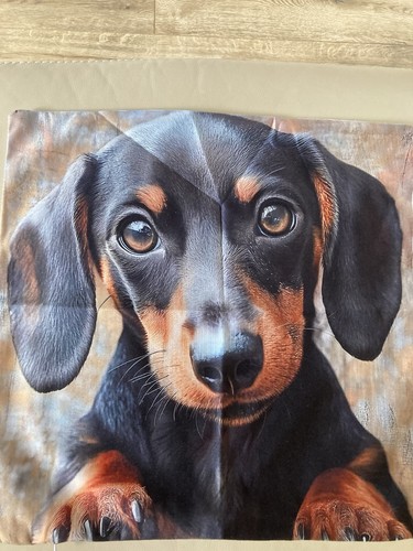 Dachshund sausage dog cushion - dachshund,