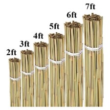 Bamboo garden heavy - bamboo, canes