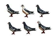 AN02 - Pigeons  Figures