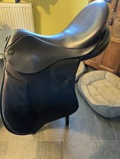Shires Gp Saddle 17” Medium