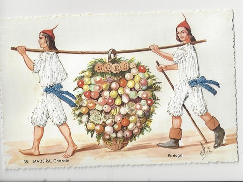 Madeira men in - madeira,