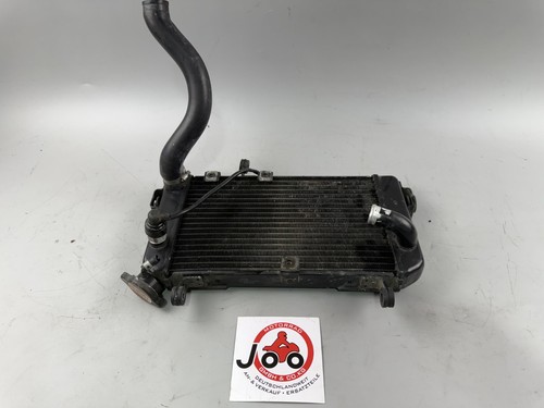 Suzuki sv650 radiator - sv650, av