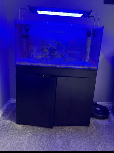 Tmc signature marine fish - 90,