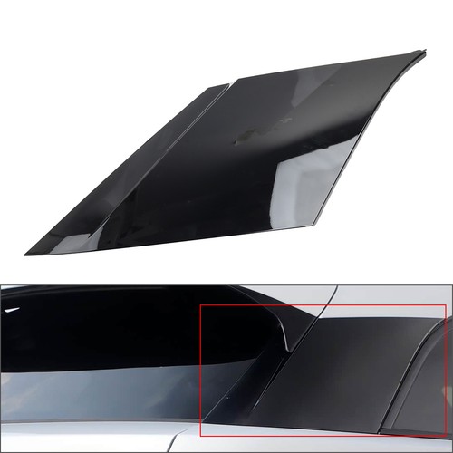 Pillar molding trim gloosy - molding,