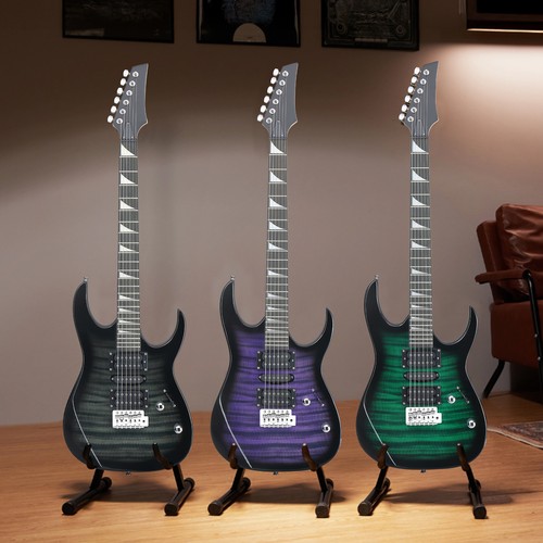 Beginner electric guitar - beginner,