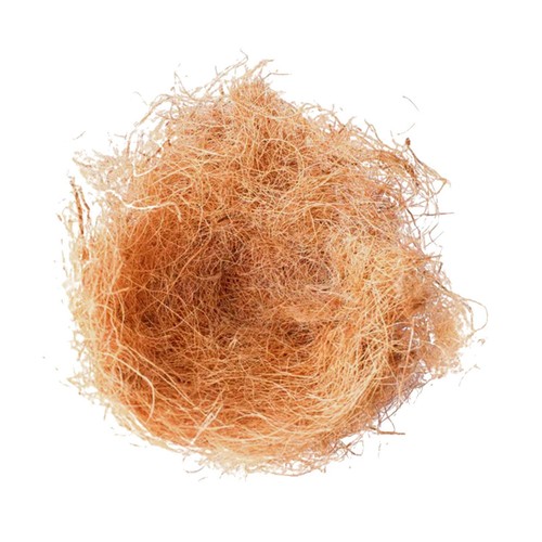 Bird nesting pad nest - bird,