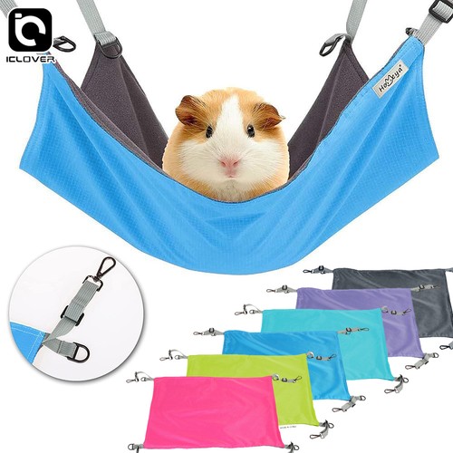 Hamster guinea pig hanging - hamster,
