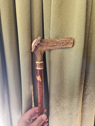 Antique walking stick - walking,