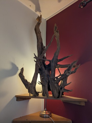 Decorative handmade tree root - tree,