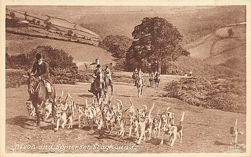 Postcard social history - postcard,