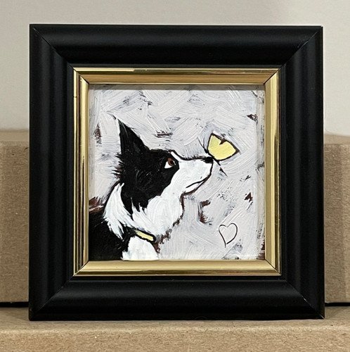 Border collie mini - collie, painting