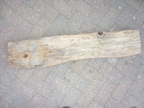 Large driftwood - large,