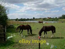 Photo 6x4 Paddock & Pond North