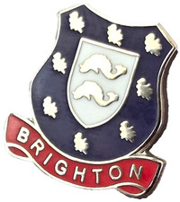 Brighton Small Pin Badge East