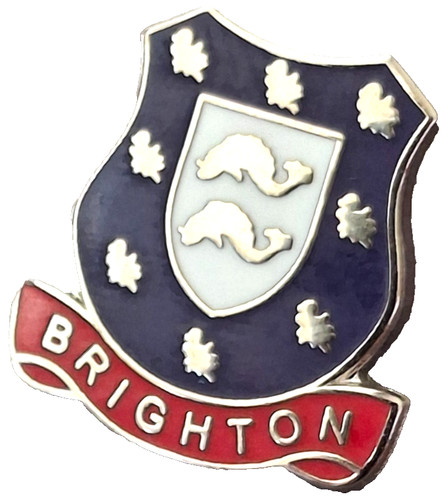 Brighton small pin badge - small,