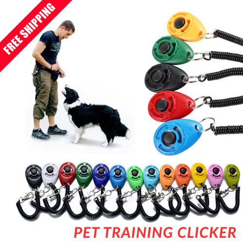 Pet training clicker dog cat - training,