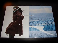 SNOW GOOSE by Canada Goose