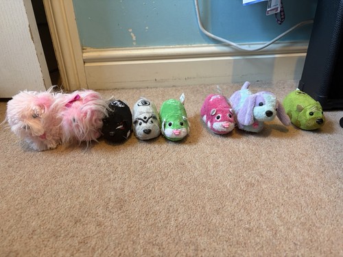 Zhu pets lot all - zhu,