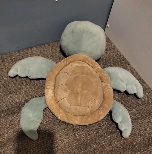 Suki pebbles turtle - pebbles, nemo
