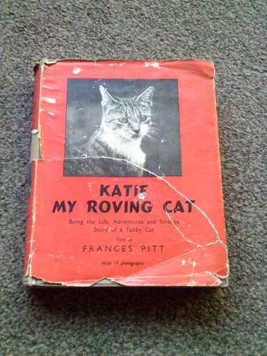 Katie roving cat - roving, by