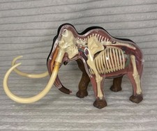 4D Master Vision Woolly