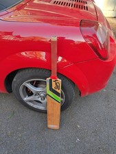 Adult kookaburra cricket - adult, sh