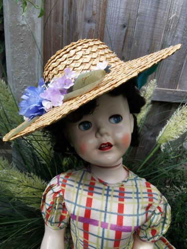 Vintage pedigree brighton - pedigree,